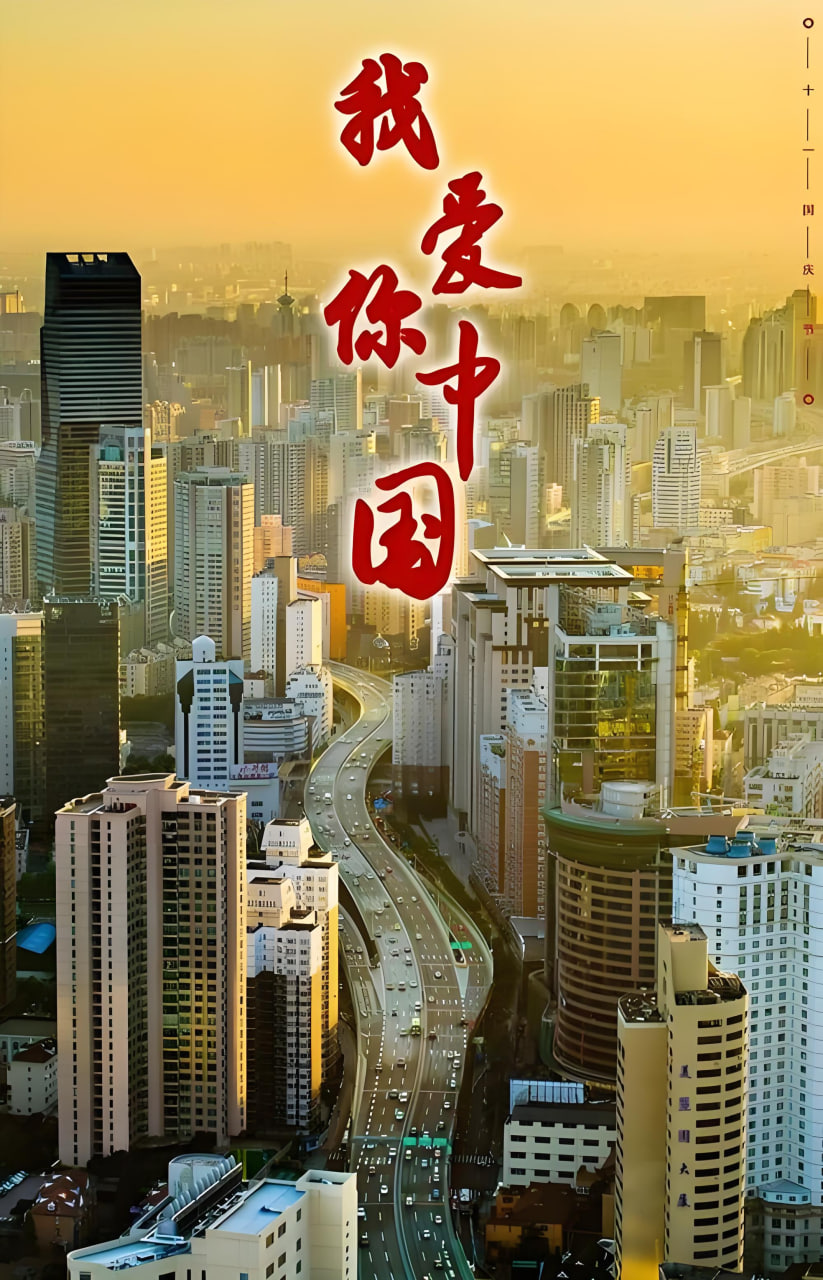 511 爆 料 +网APP界面展示